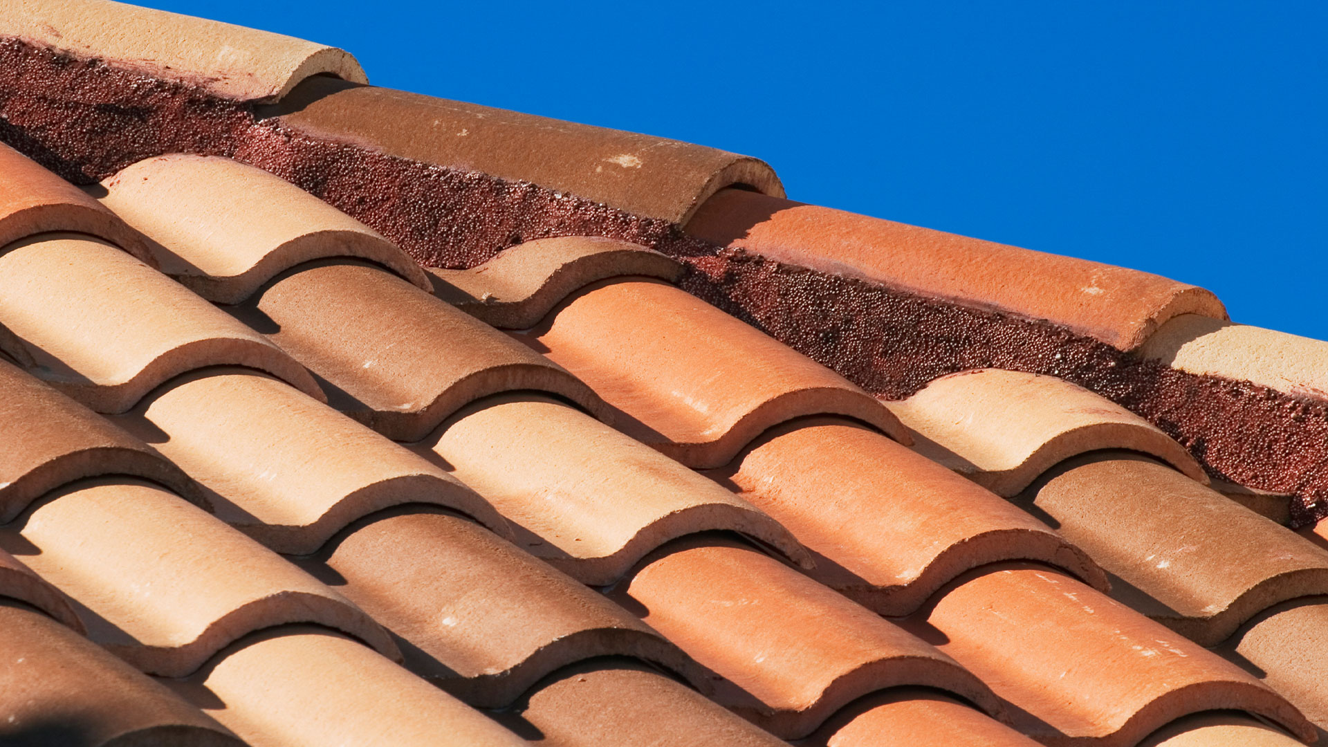 Restore The Years Of Life To Your Roof With Our Roof Cleaning Services